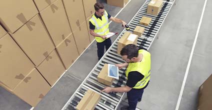 Distribución capilar