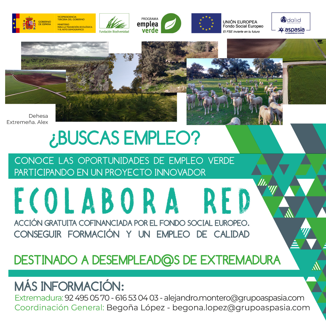 ecolaborared_1080x1080_badajoz