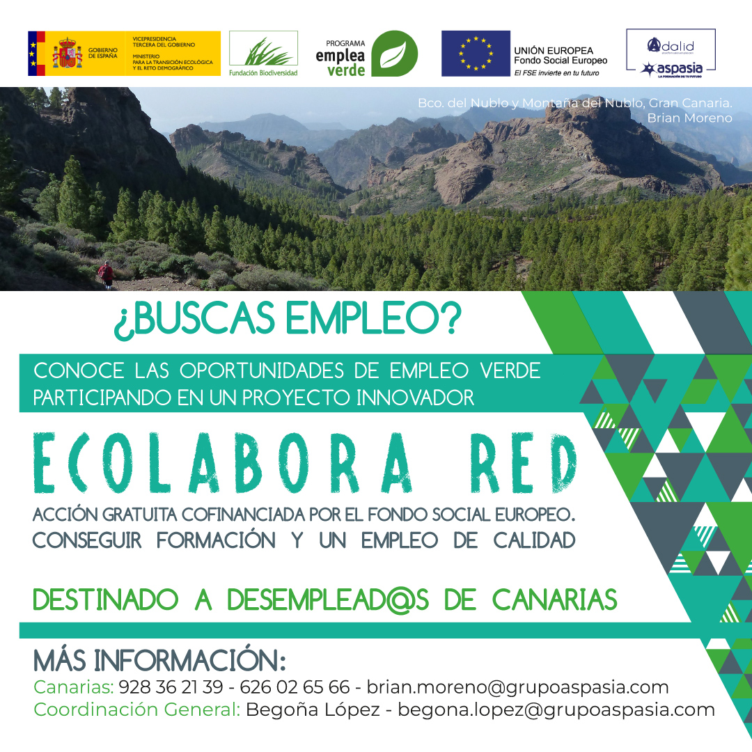 ecolaborared_1080x1080_laspalmas
