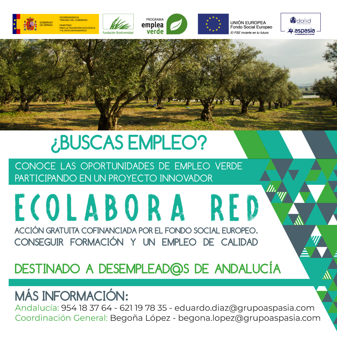 ecolaborared_1080x1080_sevilla