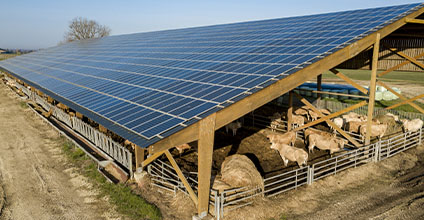 Energías renovables en el sector agrario
