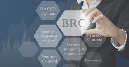 Implantación del protocolo BRC versión 8