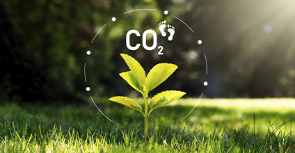 Cambio climático y huella de carbono