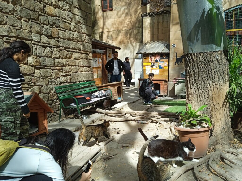 5 proyectos de Desarrollo Sostenible para un futuro más humano