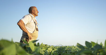 Control de plagas y enfermedades en agricultura ecológica