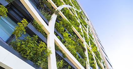 Envolventes vegetales para la regeneración de entornos urbanos