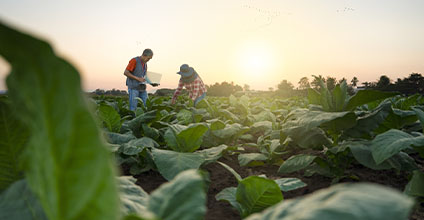Modificaciones legislativas de referencia en el sector agrario