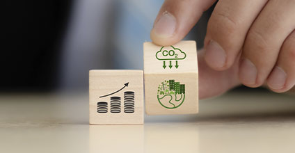 Auditor de sistemas de gestión ambiental